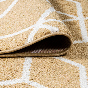Tumbling Blocks Modern Geometric Area Rug 2